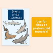 Coyote Handwriting - Original Handwriting Style Font