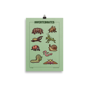 Adorable Invertebrates - 9 Invertebrate Illustrations - Original Illustrated Poster