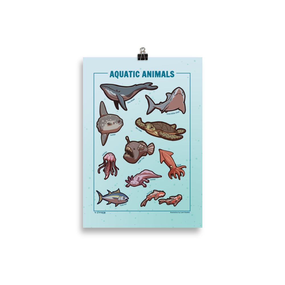 Aquatic Animals Poster - 10 Illustrated Water-dwelling Animals - Original Illustrated Poster