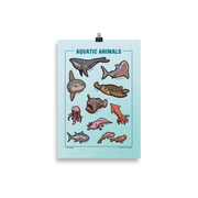 Aquatic Animals Poster - 10 Illustrated Water-dwelling Animals - Original Illustrated Poster