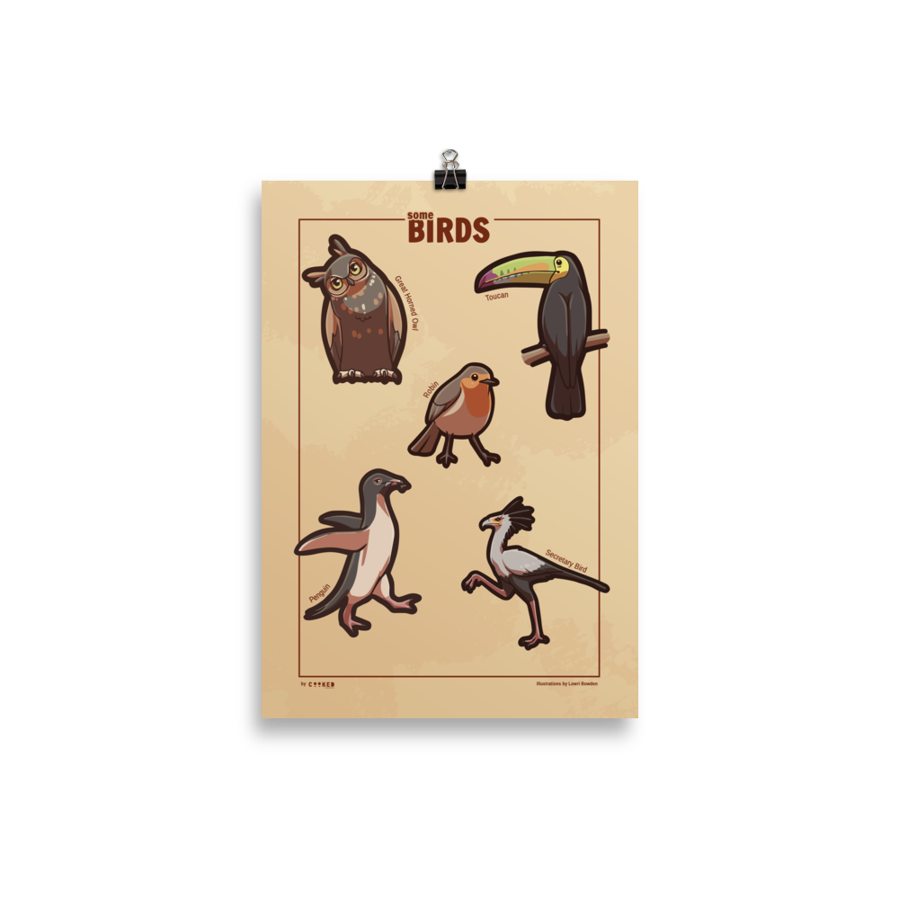 Adorable Birds - 5 Birds from Around the World - Original Illustrated Poster