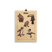 Adorable Birds - 5 Birds from Around the World - Original Illustrated Poster