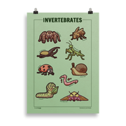 Adorable Invertebrates - 9 Invertebrate Illustrations - Original Illustrated Poster
