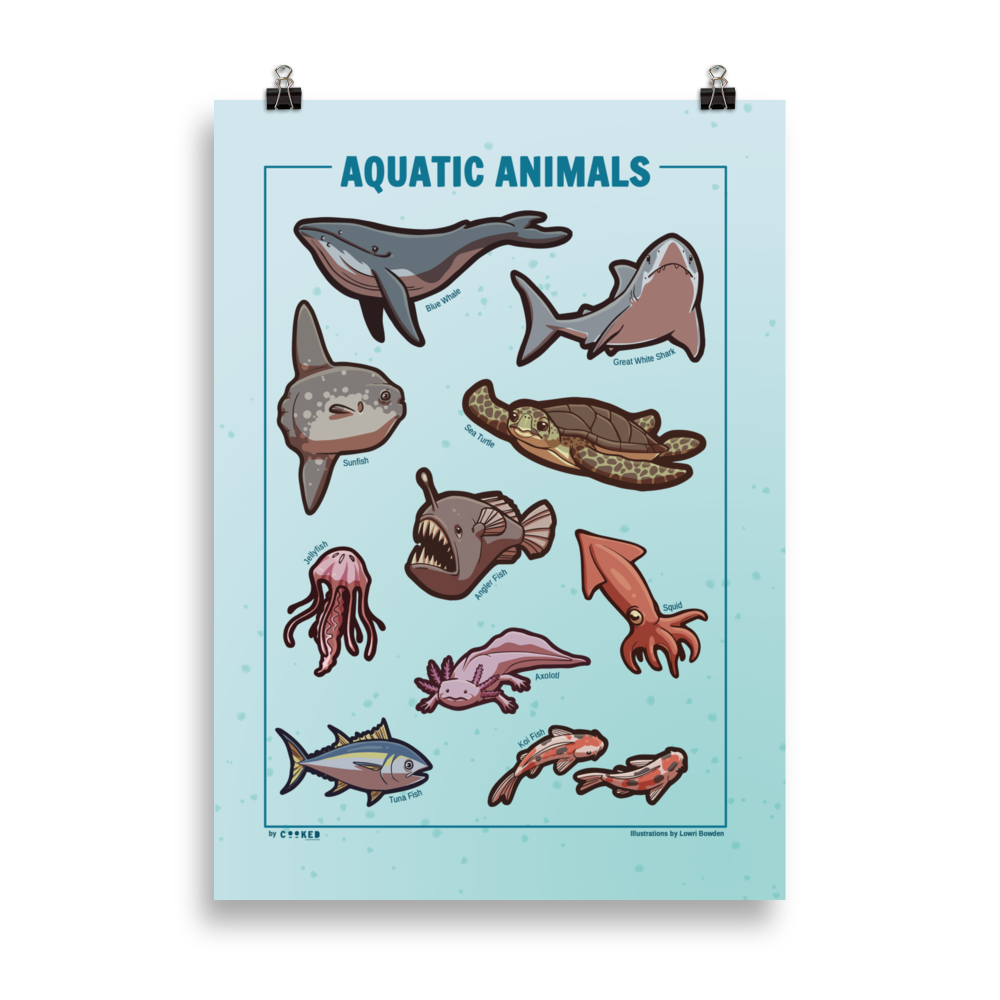 Aquatic Animals Poster - 10 Illustrated Water-dwelling Animals - Original Illustrated Poster