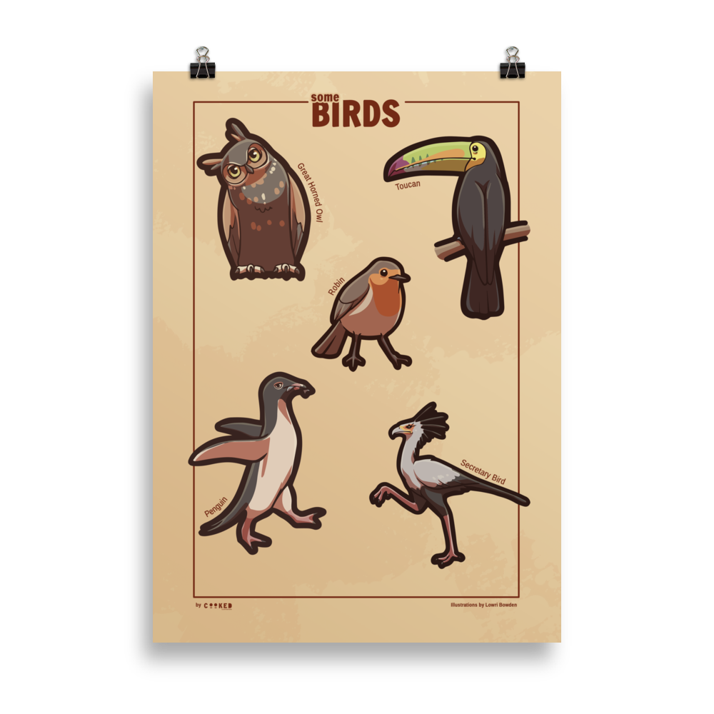 Adorable Birds - 5 Birds from Around the World - Original Illustrated Poster