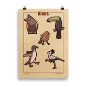 Adorable Birds - 5 Birds from Around the World - Original Illustrated Poster