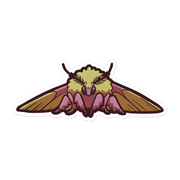 Rosy Maple Moth - Diverse Animals - Individual Vinyl Sticker