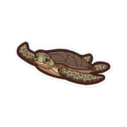 Green Sea Turtle - Diverse Animals - Individual Vinyl Sticker